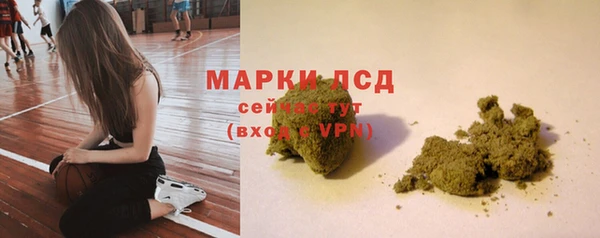 сатива Армянск