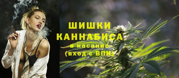 сатива Армянск