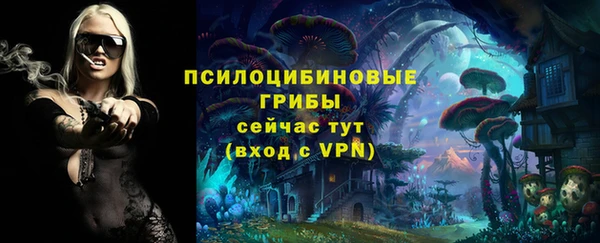 МДПВ Арсеньев